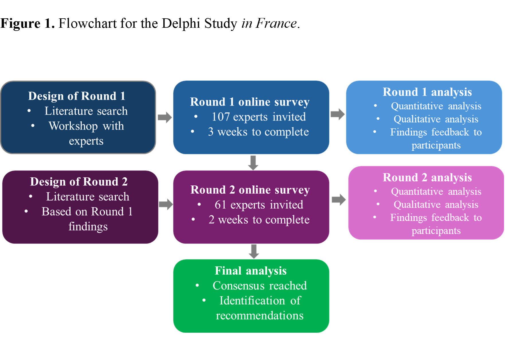 Flowchart for the Delphi Study in France