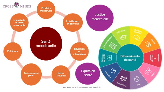 Description Crossminds
